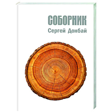 Классика, современная литература, книга Соборник