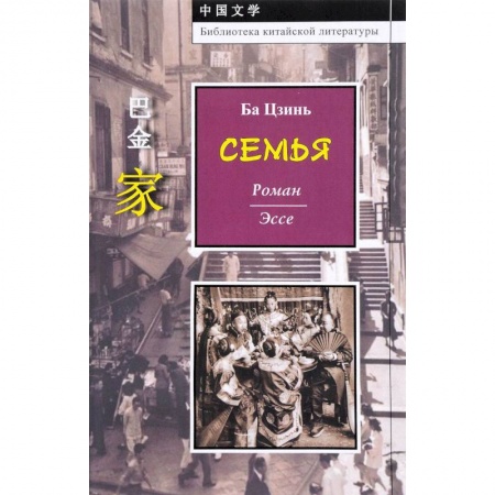 Классика, современная литература, книга Семья