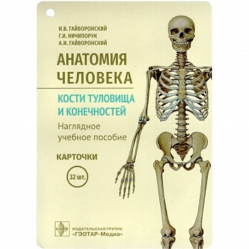 Анатомия человека. Кости туловища и конечностей. (карточки + кольцо для стяжки карточек) Анатомия человека. Кости туловища и конечностей. (карточки + кольцо для стяжки карточек)