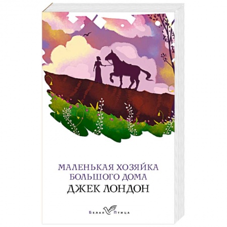 Классика, современная литература, книга Маленькая хозяйка Большого дома