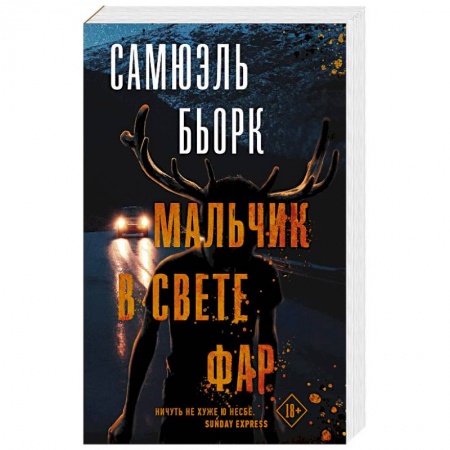 Детективы, триллеры, книга Мальчик в свете фар