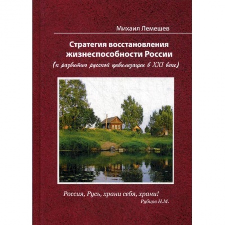 История, биография, мемуары, книга Стратегия восстановления жизнеспособности России (к развитию русской цивилизации в ХХI веке)