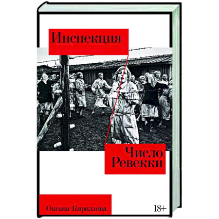 Классика, современная литература, книга Инспекция. Число Ревекки