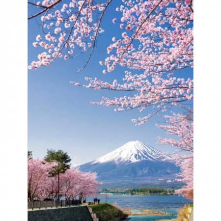 Путеводители по странам, книга 1000 лучших мест планеты, которые нужно увидеть за свою жизнь