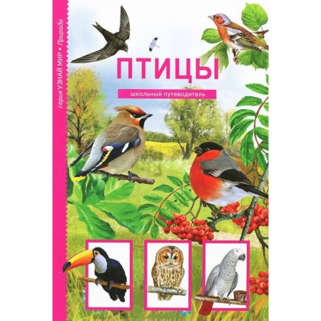 Книги, книга Птицы. Школьный путеводитель