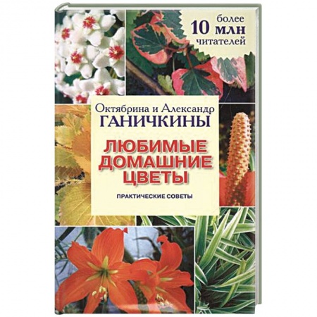 Книги, книга Любимые домашние цветы