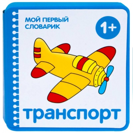 Досуг, творчество и кулинария, книга Мой первый словарик.Транспорт