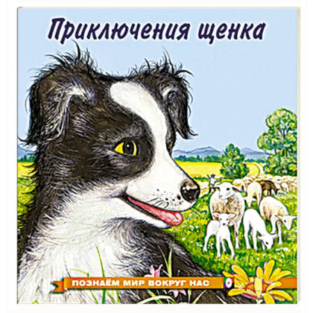 Познавательная литература, книга Приключения щенка
