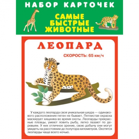 Досуг, творчество и кулинария, книга Набор карточек. Самые быстрые животные