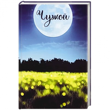 Классика, современная литература, книга Записки постороннего. Книга вторая. Чужой