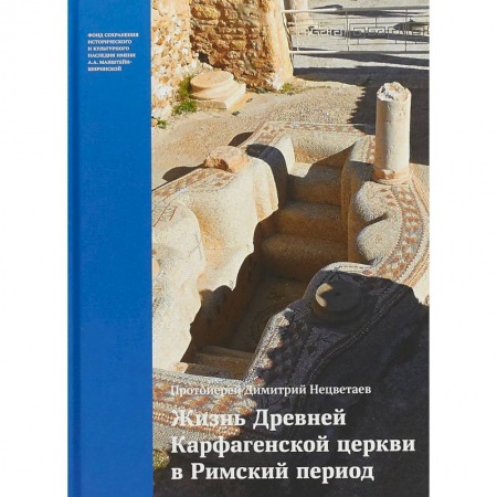 Религиоведение. История религий, книга Жизнь Древней Карфагенской церкви в Римский период