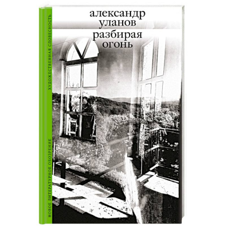 Классика, современная литература, книга Разбирая огонь
