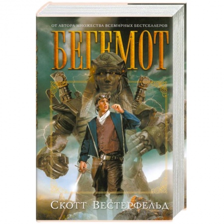 Книги, книга Бегемот