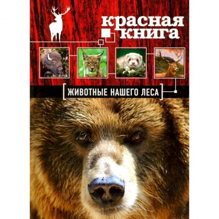 Познавательная литература, книга Красная книга. Животные нашего леса