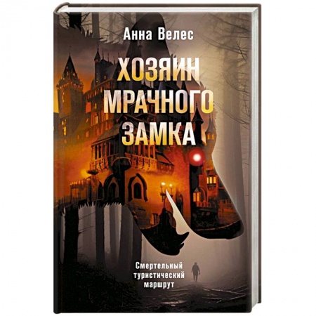 Детективы, триллеры, книга Хозяин мрачного замка