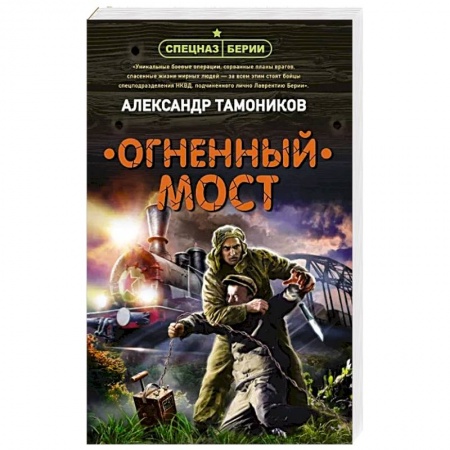 Детективы, триллеры, книга Огненный мост