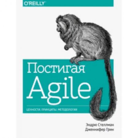 Компьютеры и программы, книга Постигая Agile. Ценности, принципы, методологии
