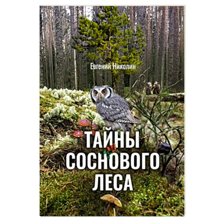 Познавательная литература, книга Тайны соснового леса