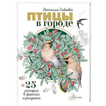 Познавательная литература, книга Птицы в городе. 25 историй в фактах и рисунках