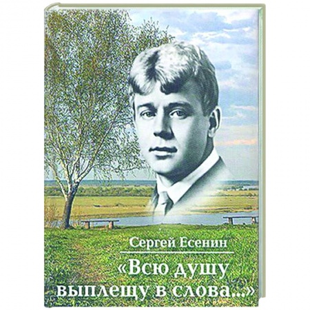 Классика, современная литература, книга Всю душу выплещу в слова...