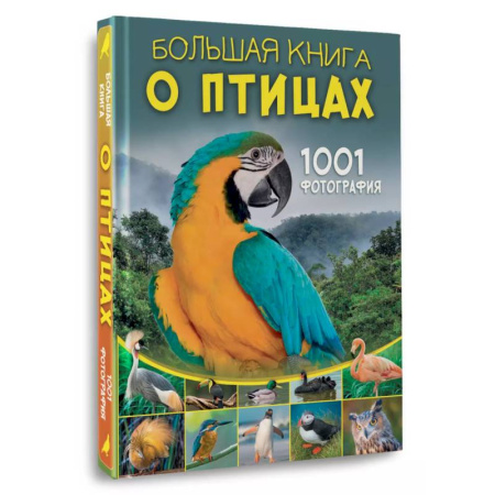 Познавательная литература, книга Большая книга о птицах. 1001 фотография