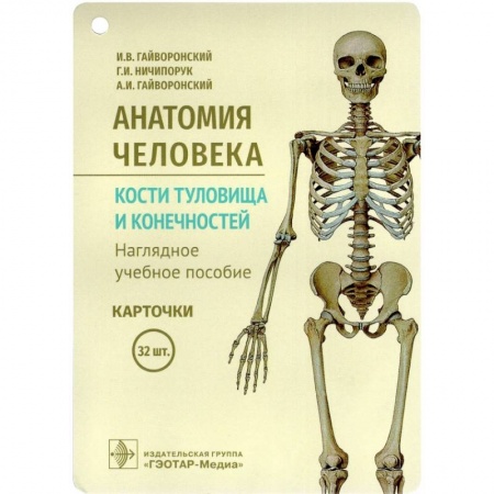 Специальная медицина, книга Анатомия человека. Кости туловища и конечностей. (карточки + кольцо для стяжки карточек)