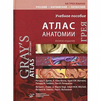 Атлас анатомии Грея Атлас анатомии Грея