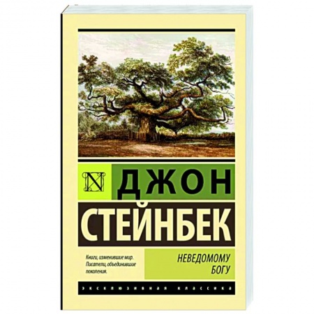 Классика, современная литература, книга Неведомому Богу