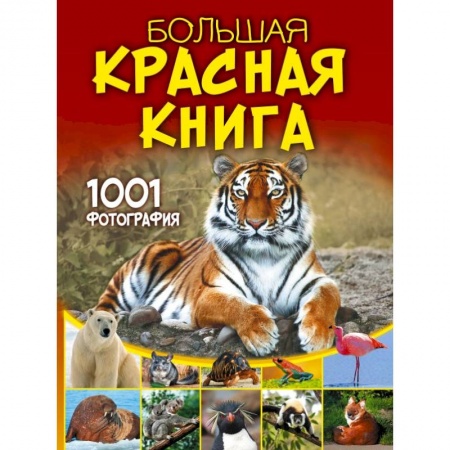 Познавательная литература, книга Большая красная книга. 1001 фотография
