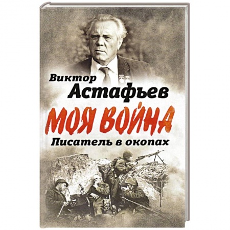 Мемуары, биографии, книга В окопах. Война глазами солдата