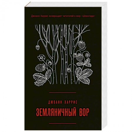 Классика, современная литература, книга Земляничный вор