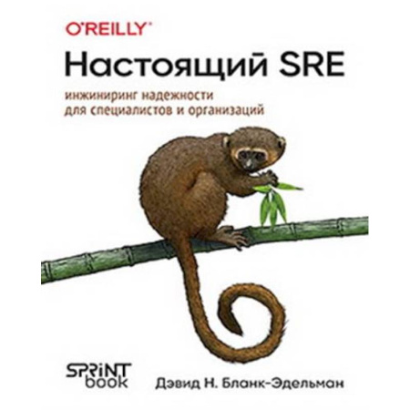Информационные технологии, книга Настоящий SRE: инжиниринг надежности для специалистов и организаций