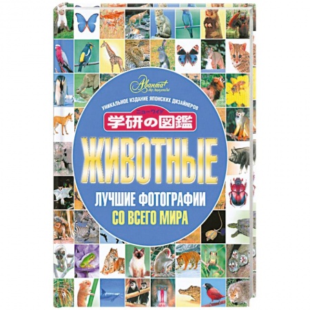Книги, книга Животные. Лучшие фотографии со всего мира