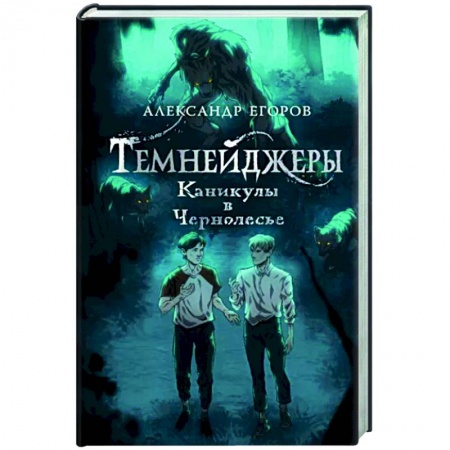 Проза для детей, книга Темнейджеры. Каникулы в Чернолесье