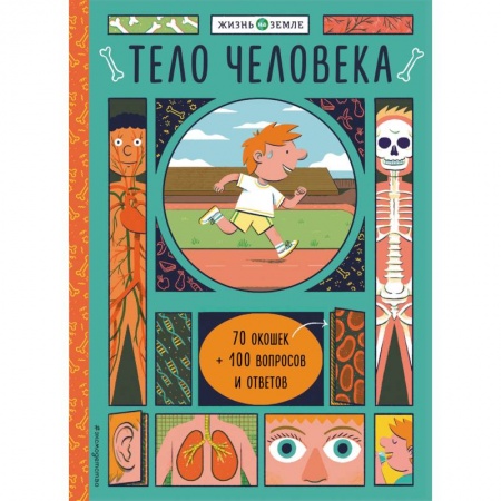 Познавательная литература, книга Тело человека (с окошками)