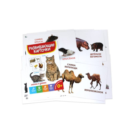 Книги для самых маленьких (0-3 года), книга Мамы и детки