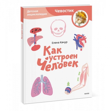 Познавательная литература, книга Как устроен человек. Детская энциклопедия
