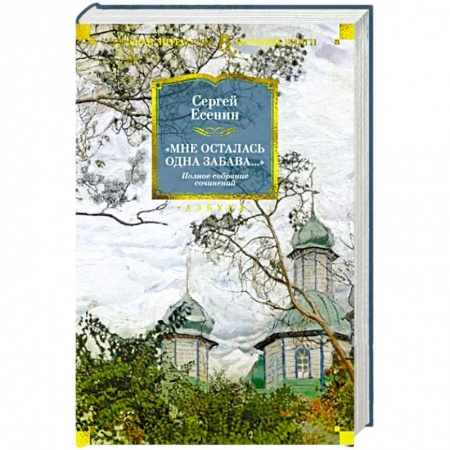 Классика, современная литература, книга Мне осталась одна забава..