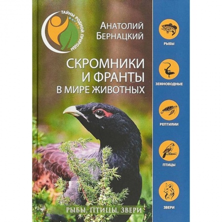 Познавательная литература, книга Скромники и франты в мире животных. Рыбы, птицы, звери
