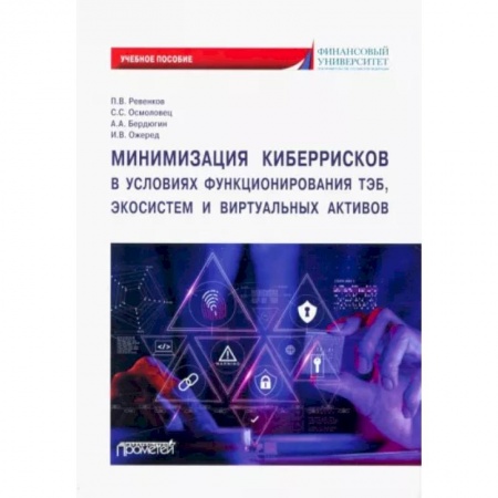 Экономика, книга Минимизация киберрисков в условиях функционирования ТЭБ, экосистем и виртуальных активов