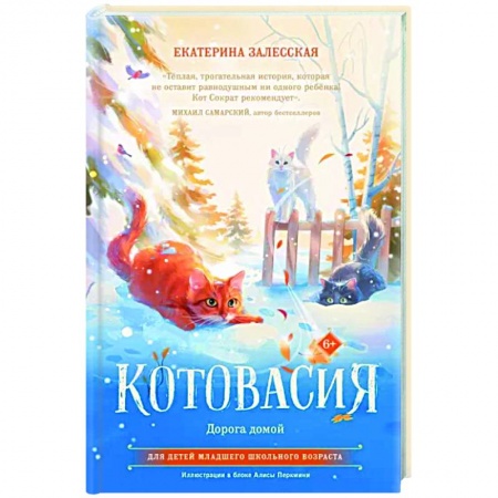 Сказки, книга Котовасия. Дорога домой