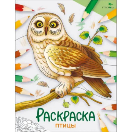 Досуг, творчество и кулинария, книга Птицы: раскраска