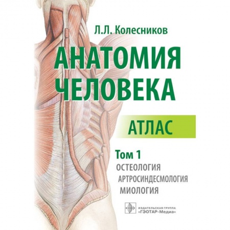 Медицинские энциклопедии и справочники, книга Анатомия человека. Атлас в 3-х томах. Том 1. Остеология, артросиндесмология, миология