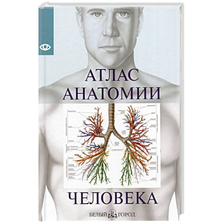 Медико-биологические дисциплины, книга Атлас анатомии человека