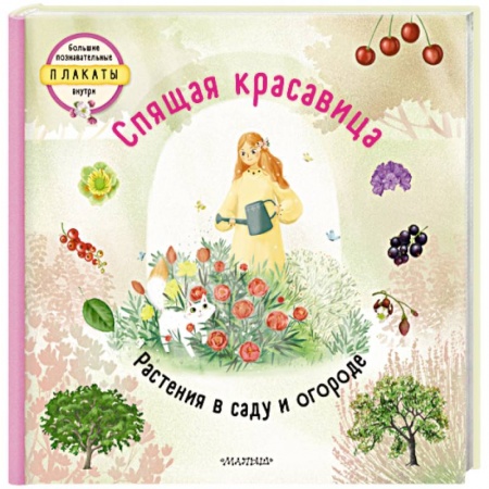 Книги для самых маленьких (0-3 года), книга Спящая красавица