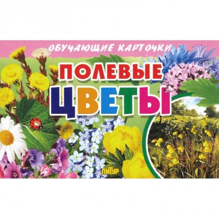 Познавательная литература, книга Карточки. Полевые цветы 