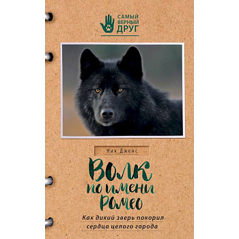 Волк по имени Ромео. Как дикий зверь покорил сердца целого города