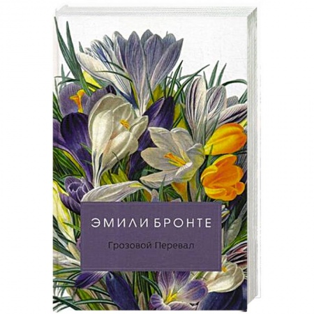 Любовный роман, книга Грозовой Перевал