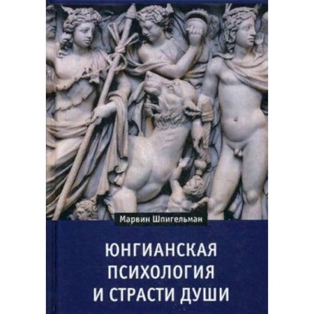 Общественные и гуманитарные науки, книга Юнгианская психология и страсти души