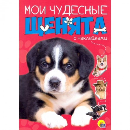 Рукоделие. Творчество, книга БРОШЮРА С НАКЛЕЙКАМИ. МОИ ЧУДЕСНЫЕ ЩЕНЯТА